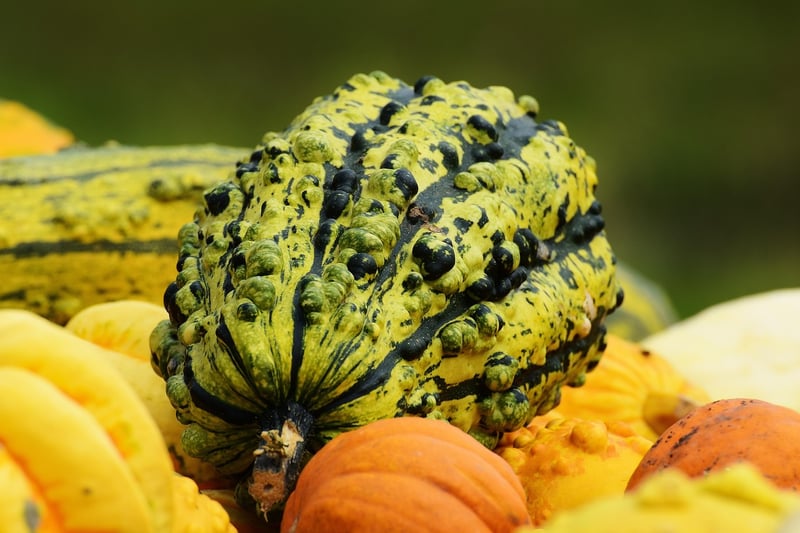 Seasonal Produce Menus